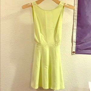 American Apparel Skater dress